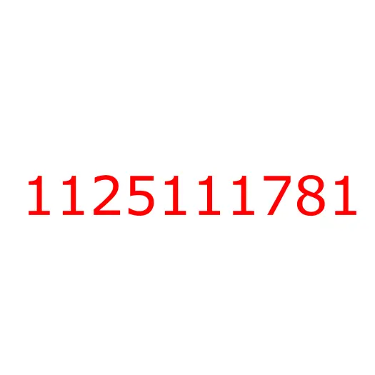 1125111781 Вал распределительный 6RB1 ISUZU, 1125111781