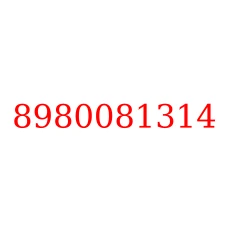 8980081314
