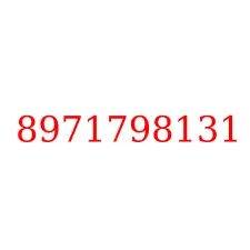 8971798131