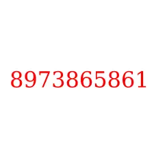 8973865861