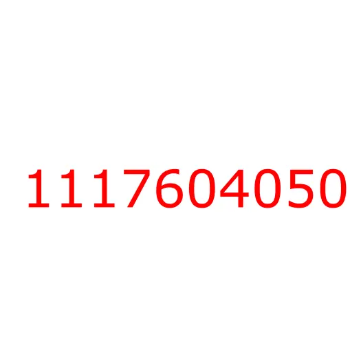 1117604050 Щуп масляный 6WG1, 1117604050