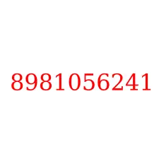 8981056241