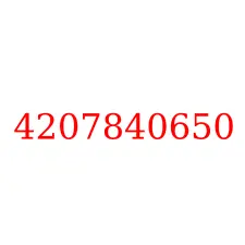 4207840650