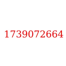 1739072664