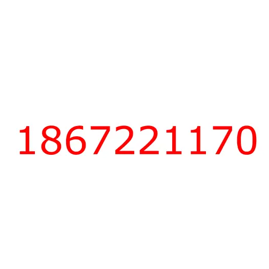 1867221170 Решетка радиатора внешняя (хромированная) FVR34 (E5), 1867221170