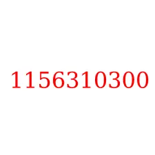 1156310300