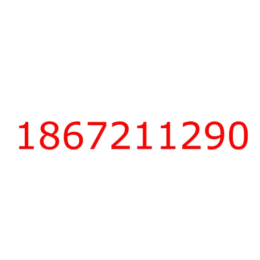 1867211290 Накладка (рамка) повторителя поворотов (комплект) NPR75/NMR85/NQR90/FSR90/FVR34/CYZ52, 1867211290