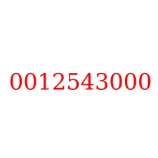 0012543000