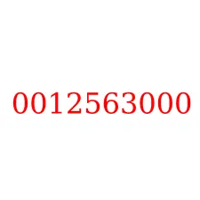 0012563000