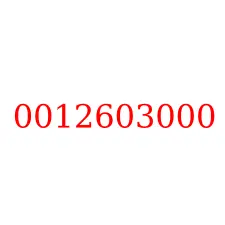 0012603000