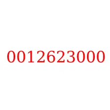0012623000