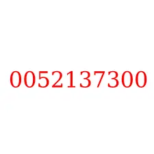 0052137300