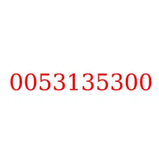 0053135300