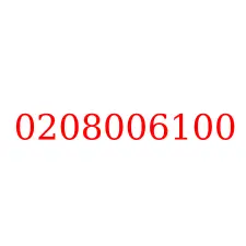 0208006100