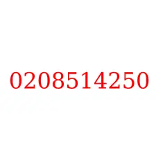0208514250