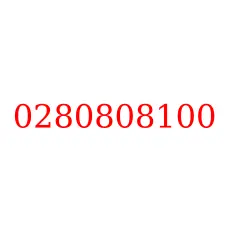 0280808100