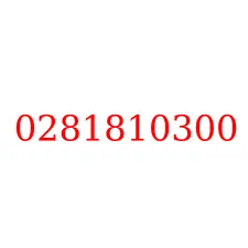 0281810300