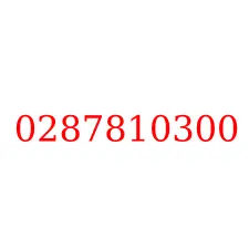 0287810300