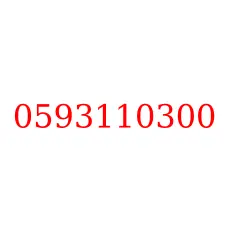 0593110300