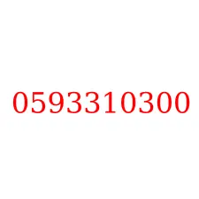0593310300