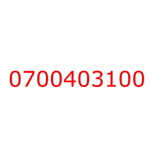 0700403100 SCREW; PARCEL, 0700403100