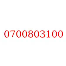 0700803100