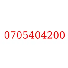 0705404200