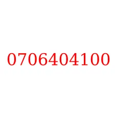 0706404100