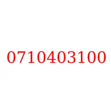0710403100