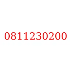 0811230200