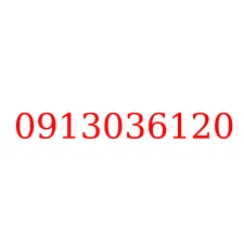 0913036120