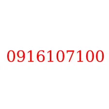 0916107100