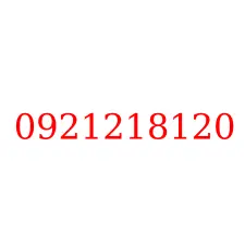 0921218120
