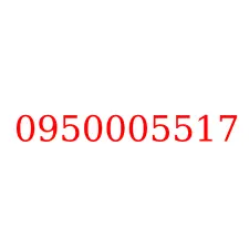 0950005517