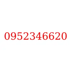 0952346620