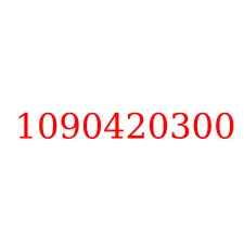 1090420300