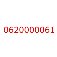 0620000061