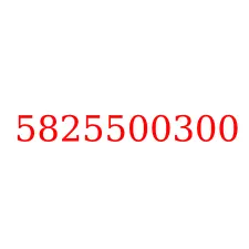 5825500300