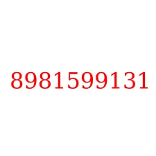 8981599131