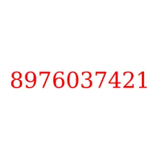 8976037421