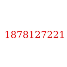 1878127221