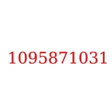 1095871031