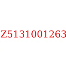 Z5131001263