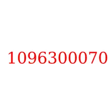 1096300070