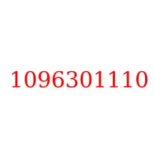 1096301110