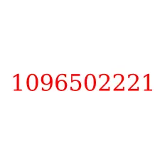 1096502221