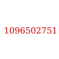 1096502751