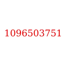 1096503751