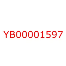 YB00001597