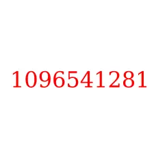 1096541281
